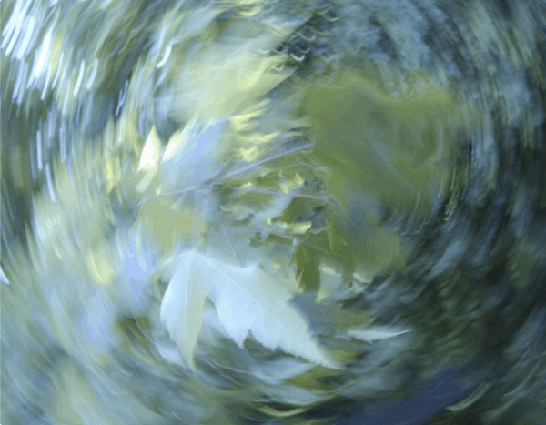 Illustration for the poem Along the Dominant Winds